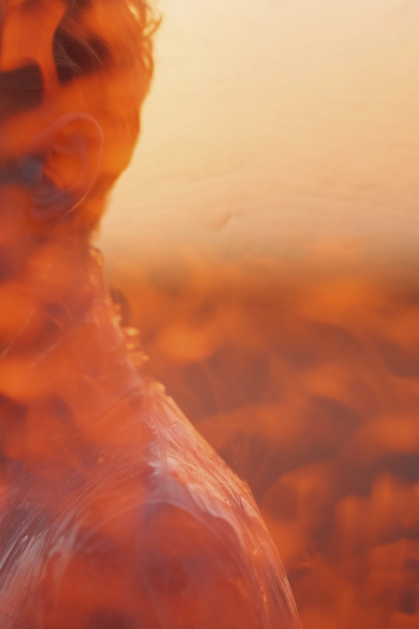 Project Preview Image